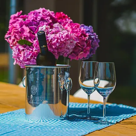 Premium Gardenguesthouse Mlinar With Pool & Sauna