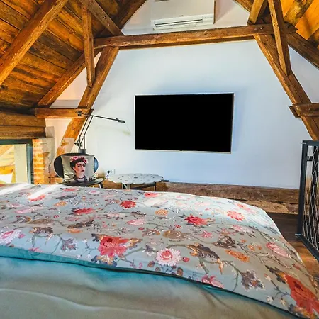 Hiša za goste Premium Gardenguesthouse Mlinar With Pool & Sauna 3*